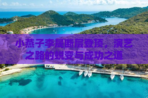 小燕子李晟断层登顶，演艺之路的蜕变与成功之道