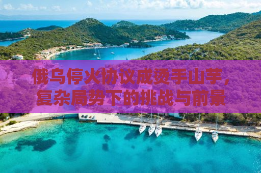 俄乌停火协议成烫手山芋，复杂局势下的挑战与前景