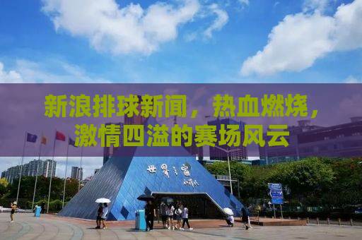 新浪排球新闻，热血燃烧，激情四溢的赛场风云