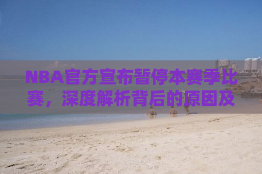 NBA官方宣布暂停本赛季比赛，深度解析背后的原因及其影响
