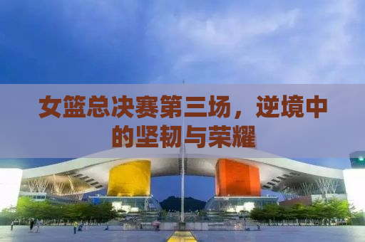 女篮总决赛第三场，逆境中的坚韧与荣耀