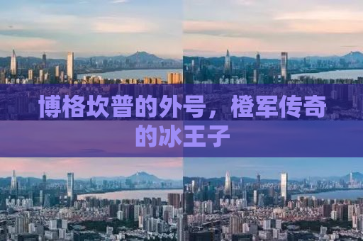 博格坎普的外号，橙军传奇的冰王子
