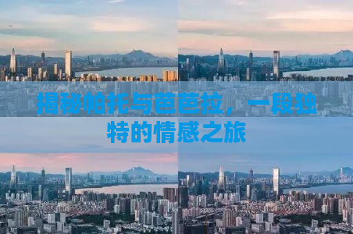 揭秘帕托与芭芭拉，一段独特的情感之旅