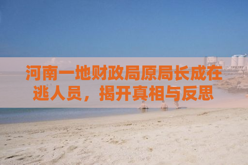 河南一地财政局原局长成在逃人员，揭开真相与反思