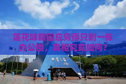 莲花味精回应穷得只剩一栋办公楼，真相究竟如何？