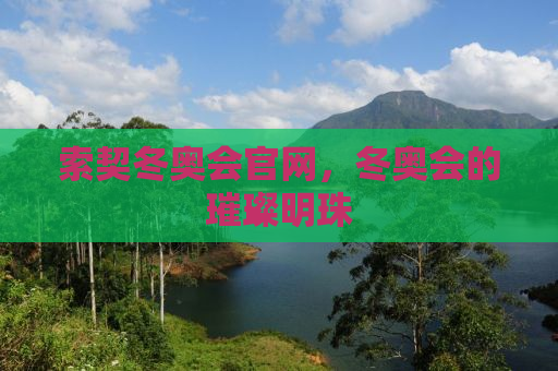 索契冬奥会官网，冬奥会的璀璨明珠