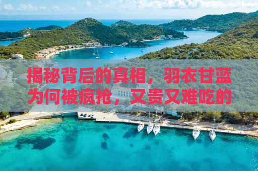 揭秘背后的真相，羽衣甘蓝为何被疯抢，又贵又难吃的背后真相究竟为何？