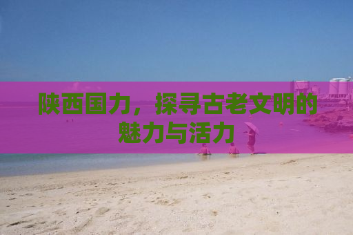 陕西国力，探寻古老文明的魅力与活力