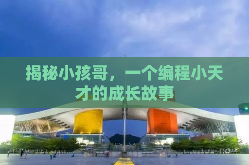 揭秘小孩哥，一个编程小天才的成长故事