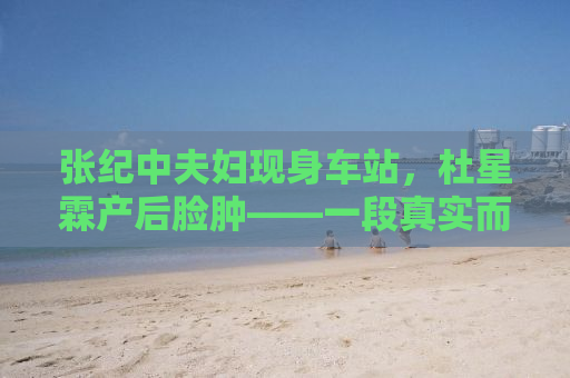 张纪中夫妇现身车站，杜星霖产后脸肿——一段真实而感人的爱情故事