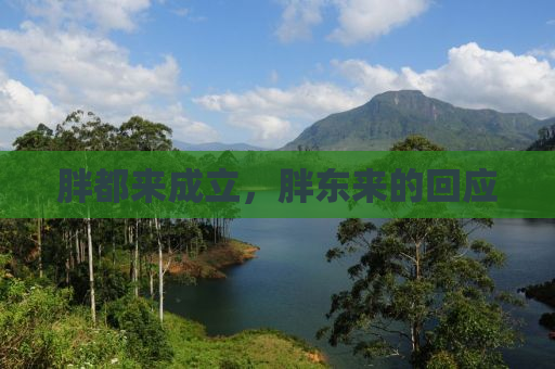 胖都来成立，胖东来的回应
