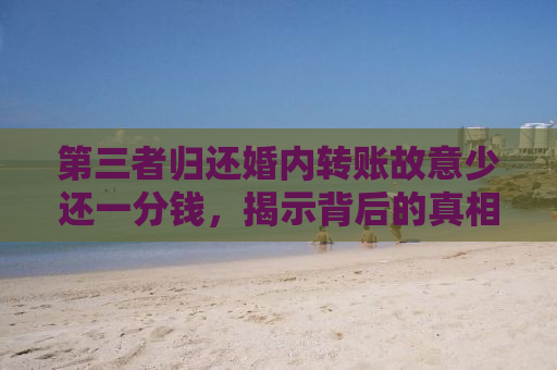 第三者归还婚内转账故意少还一分钱，揭示背后的真相与道德伦理的探讨