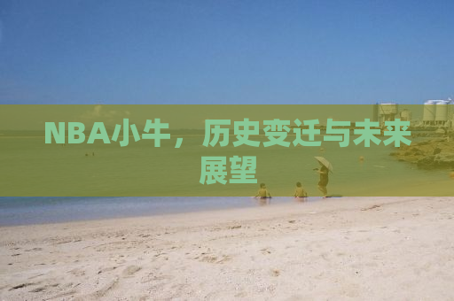 NBA小牛，历史变迁与未来展望