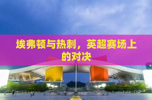 埃弗顿与热刺，英超赛场上的对决
