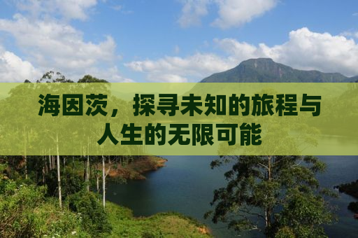 海因茨，探寻未知的旅程与人生的无限可能