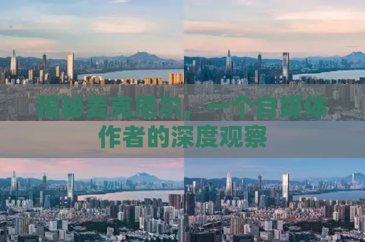 揭秘麦克尼尔，一个自媒体作者的深度观察