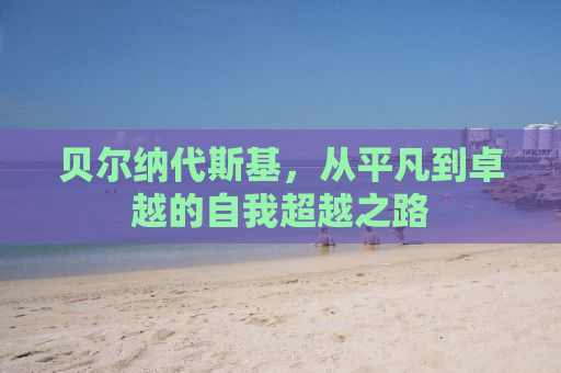 贝尔纳代斯基，从平凡到卓越的自我超越之路