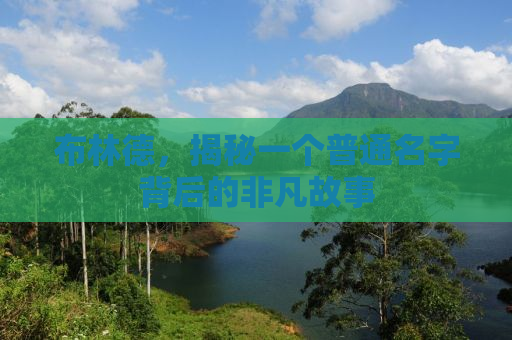 布林德，揭秘一个普通名字背后的非凡故事