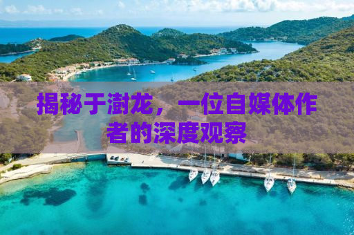 揭秘于澍龙，一位自媒体作者的深度观察