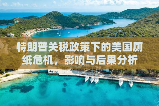 特朗普关税政策下的美国厕纸危机，影响与后果分析