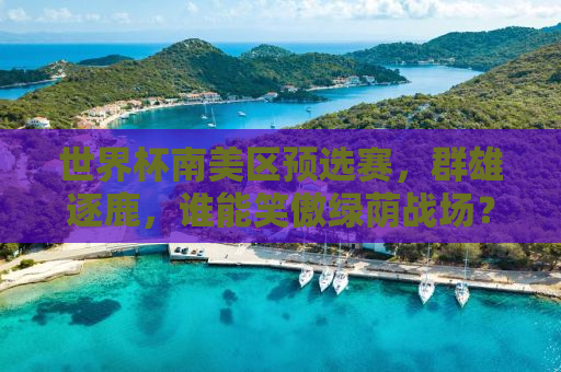 世界杯南美区预选赛，群雄逐鹿，谁能笑傲绿荫战场？