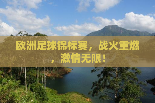 欧洲足球锦标赛，战火重燃，激情无限！