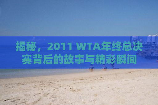揭秘，2011 WTA年终总决赛背后的故事与精彩瞬间