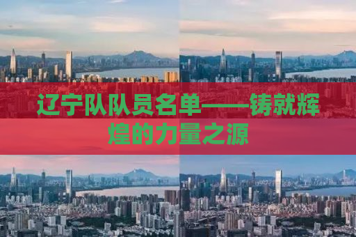 辽宁队队员名单——铸就辉煌的力量之源