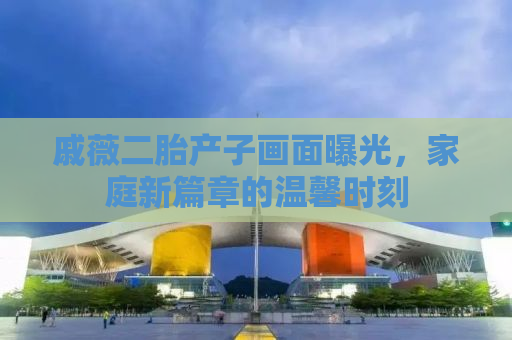 戚薇二胎产子画面曝光，家庭新篇章的温馨时刻