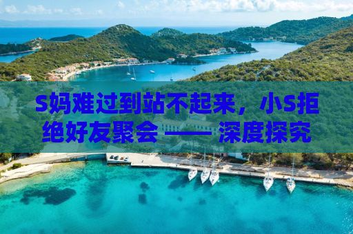 S妈难过到站不起来，小S拒绝好友聚会 —— 深度探究背后的故事
