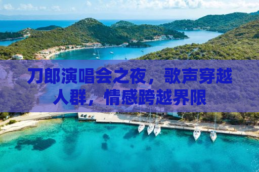 刀郎演唱会之夜，歌声穿越人群，情感跨越界限