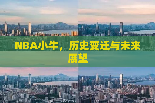 NBA小牛，历史变迁与未来展望