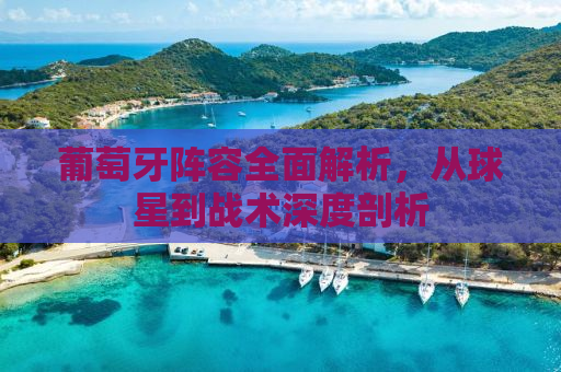 葡萄牙阵容全面解析，从球星到战术深度剖析