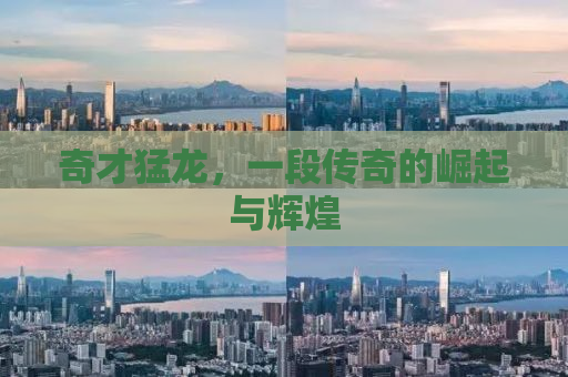 奇才猛龙，一段传奇的崛起与辉煌