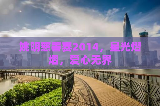 姚明慈善赛2014，星光熠熠，爱心无界