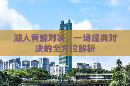 湖人黄蜂对决，一场经典对决的全方位解析