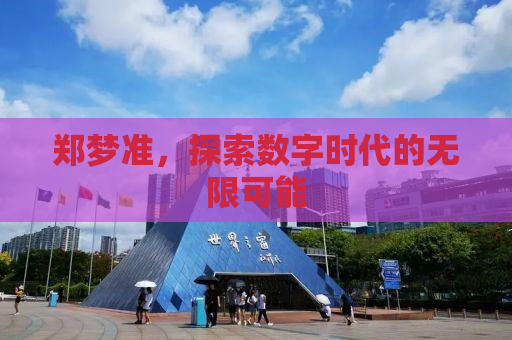 郑梦准，探索数字时代的无限可能