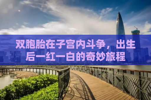 双胞胎在子宫内斗争，出生后一红一白的奇妙旅程