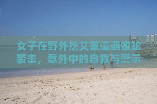 女子在野外挖艾草遭遇蝮蛇袭击，意外中的自救与警示