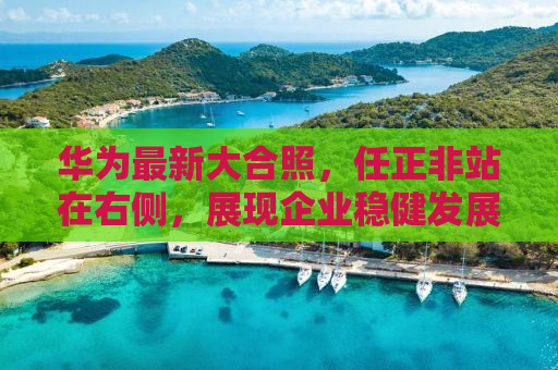 华为最新大合照，任正非站在右侧，展现企业稳健发展的力量
