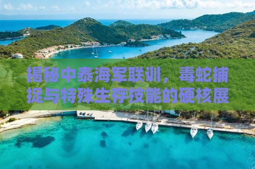 揭秘中泰海军联训，毒蛇捕捉与特殊生存技能的硬核展现
