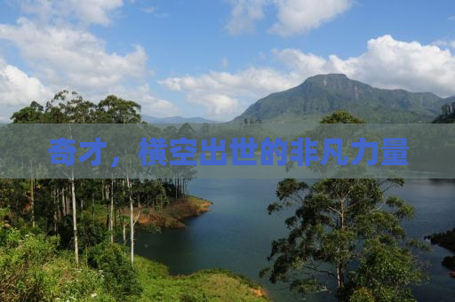奇才，横空出世的非凡力量