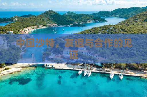 中国沙特，友谊与合作的见证