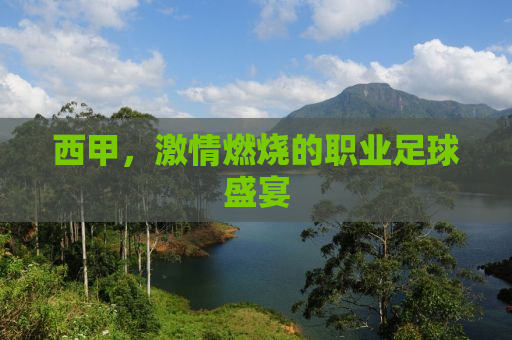 西甲，激情燃烧的职业足球盛宴