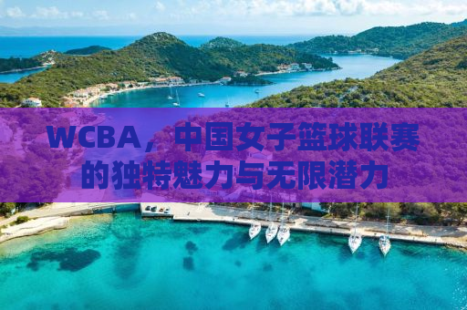 WCBA，中国女子篮球联赛的独特魅力与无限潜力