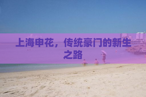 上海申花，传统豪门的新生之路