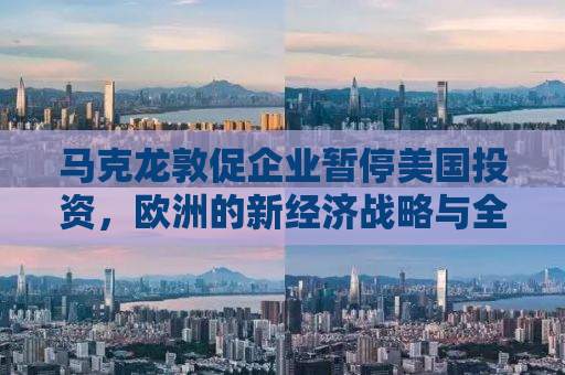 马克龙敦促企业暂停美国投资，欧洲的新经济战略与全球贸易重塑
