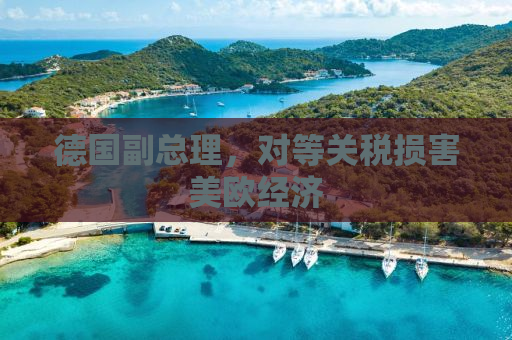 德国副总理，对等关税损害美欧经济