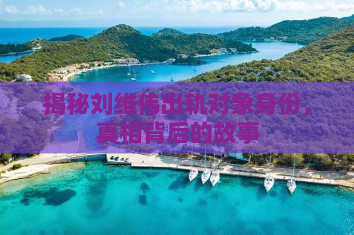 揭秘刘维伟出轨对象身份，真相背后的故事