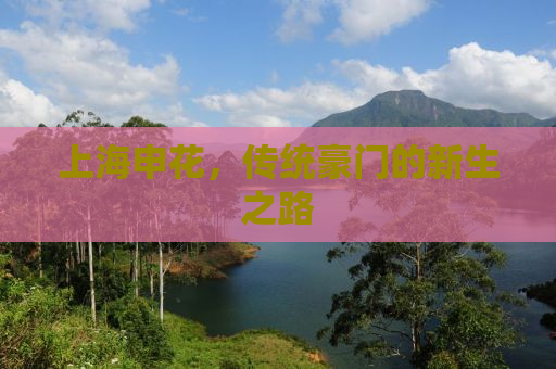 上海申花，传统豪门的新生之路